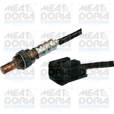 Oxygen Sensor